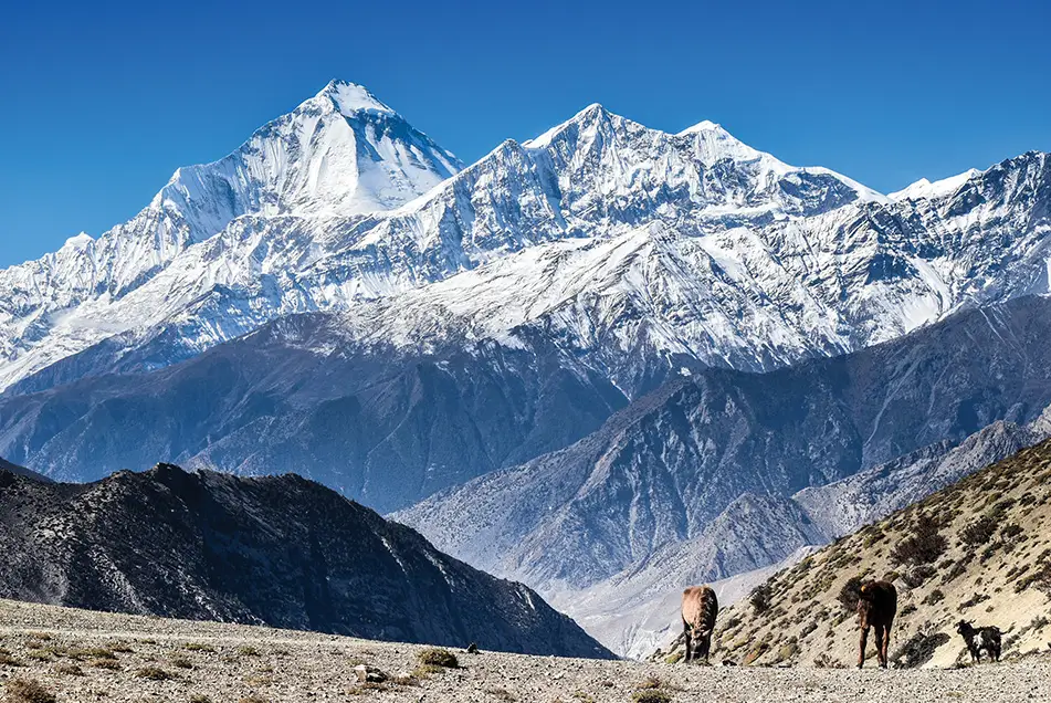 mustang-nepal